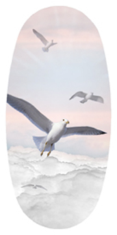 DASOV 101 PK Journey Home Clouds Birds Pink